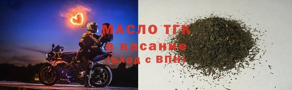 гидра Горняк