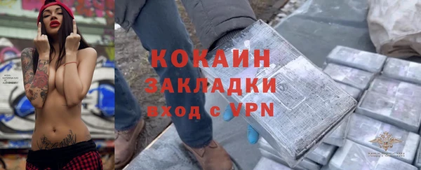 гидра Горняк