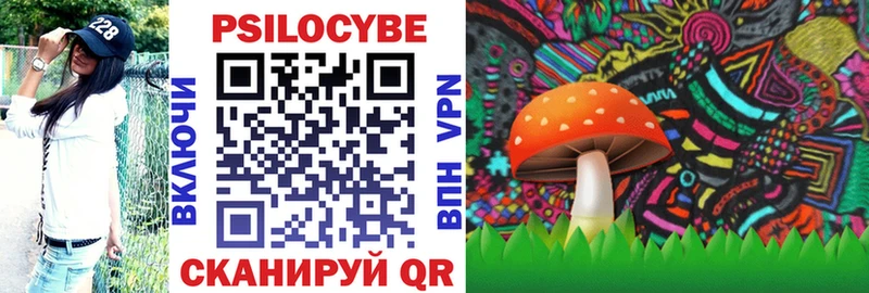 Псилоцибиновые грибы мицелий  Купить где  Родники 
